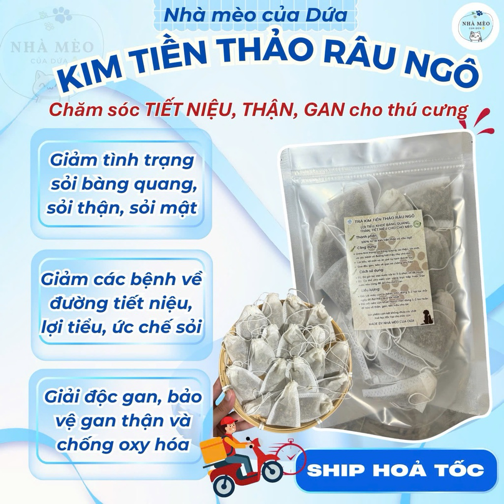 (BỔ GAN THẬN) Kim tiền thảo râu ngô hỗ trợ tiết niệu, thận, giải độc gan, lợi tiểu cho mèo cú