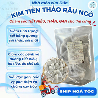 (BỔ GAN THẬN) Kim tiền thảo râu ngô hỗ trợ tiết niệu, thận, giải độc gan, lợi tiểu cho mèo cú