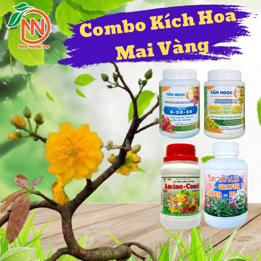 Combo Kích Hoa Cho Mai Vàng - NPK 20 Đều - Amibo Combi - B1 - NPK 6-30-30