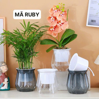 💥RẺ VÀ ĐẸP !!☄️COMBO 2 Chậu thuỷ sinh tự tưới, chậu trồng cây và hoa, trang trí bàn làm việc, phòng khách kt 11x13cm