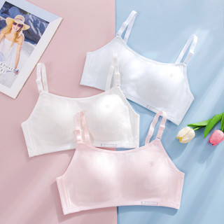 áo ngực, áo lót học sinh cao cấp (CÓ KIỂM NGHIỆM VẢI) đệm liền thông hơi, chất liệu cotton thấm hút và thoáng khí 1075