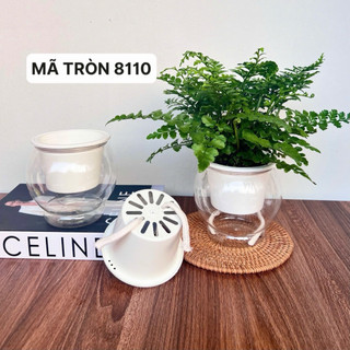 💥RẺ VÀ ĐẸP !!☄️COMBO 2 Chậu thuỷ sinh tự tưới, chậu trồng cây và hoa, trang trí bàn làm việc, phòng khách kt 11x13cm