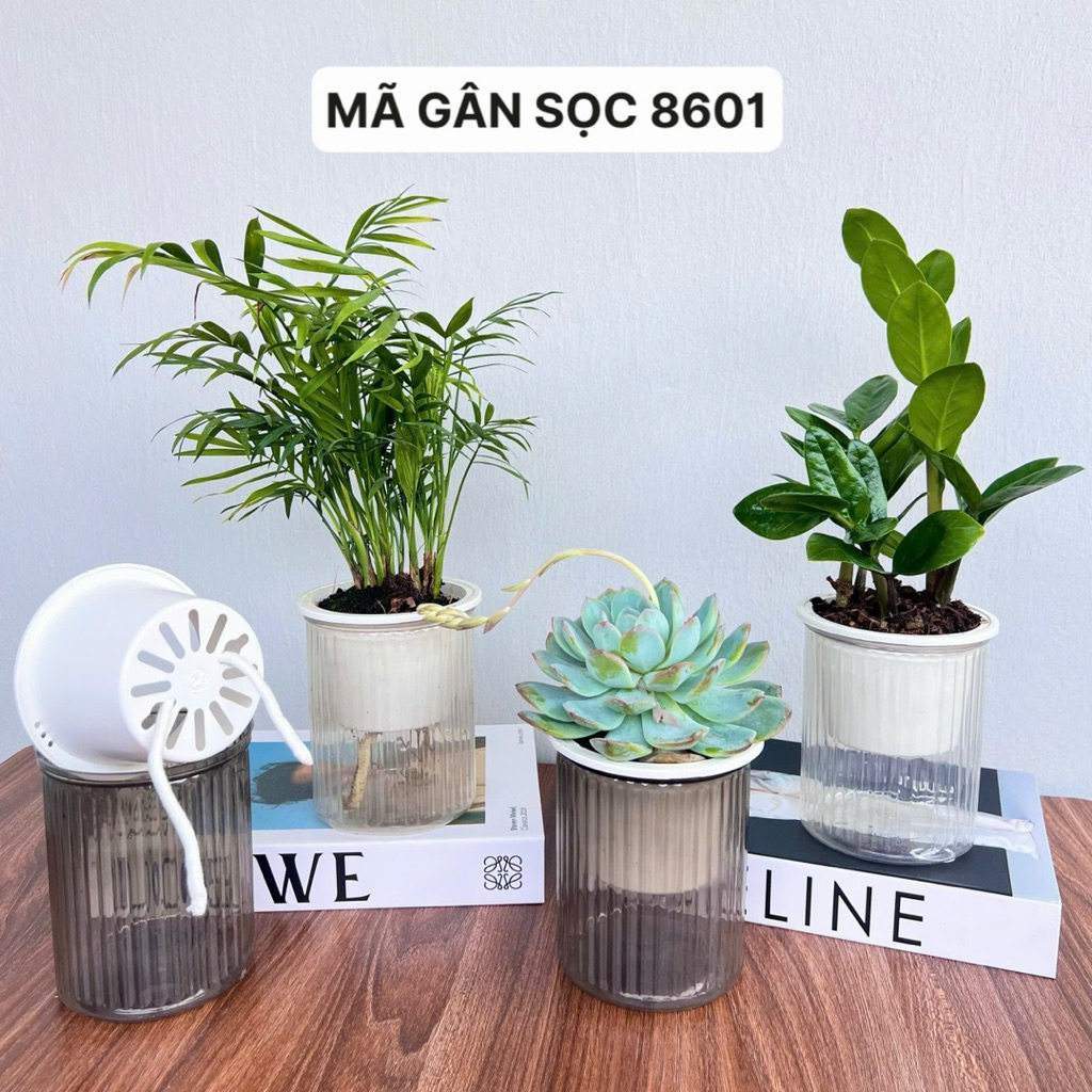💥RẺ VÀ ĐẸP !!☄️COMBO 2 Chậu thuỷ sinh tự tưới, chậu trồng cây và hoa, trang trí bàn làm việc, phòng khách kt 11x13cm