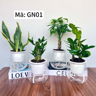 💥RẺ VÀ ĐẸP !!☄️COMBO 2 Chậu thuỷ sinh tự tưới, chậu trồng cây và hoa, trang trí bàn làm việc, phòng khách kt 11x13cm
