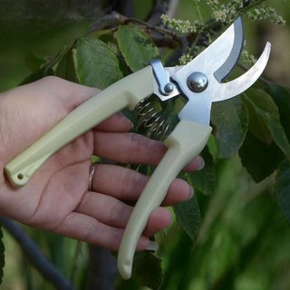 Kéo cắt cành, tỉa hoa.