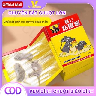 V-Clean keo dính chuột siêu dính 5 miếng dán bẫy chuột miếng dán chuột siêu dính keo bẫy chuột dính chuột siêu dính cao