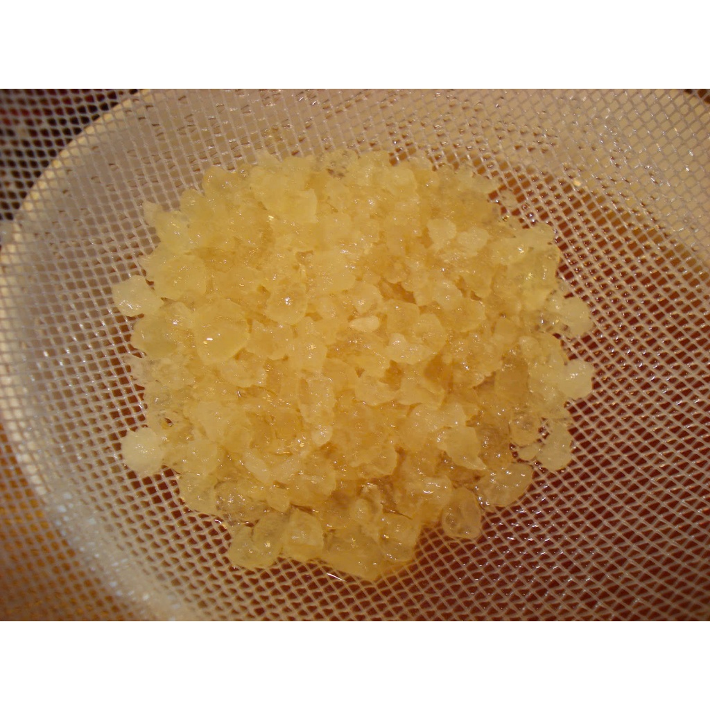 Water Kefir Grains / Nấm Nước Kefir Lên Men Nước Mía / Đường Làm Nước Ngọt Có Ga