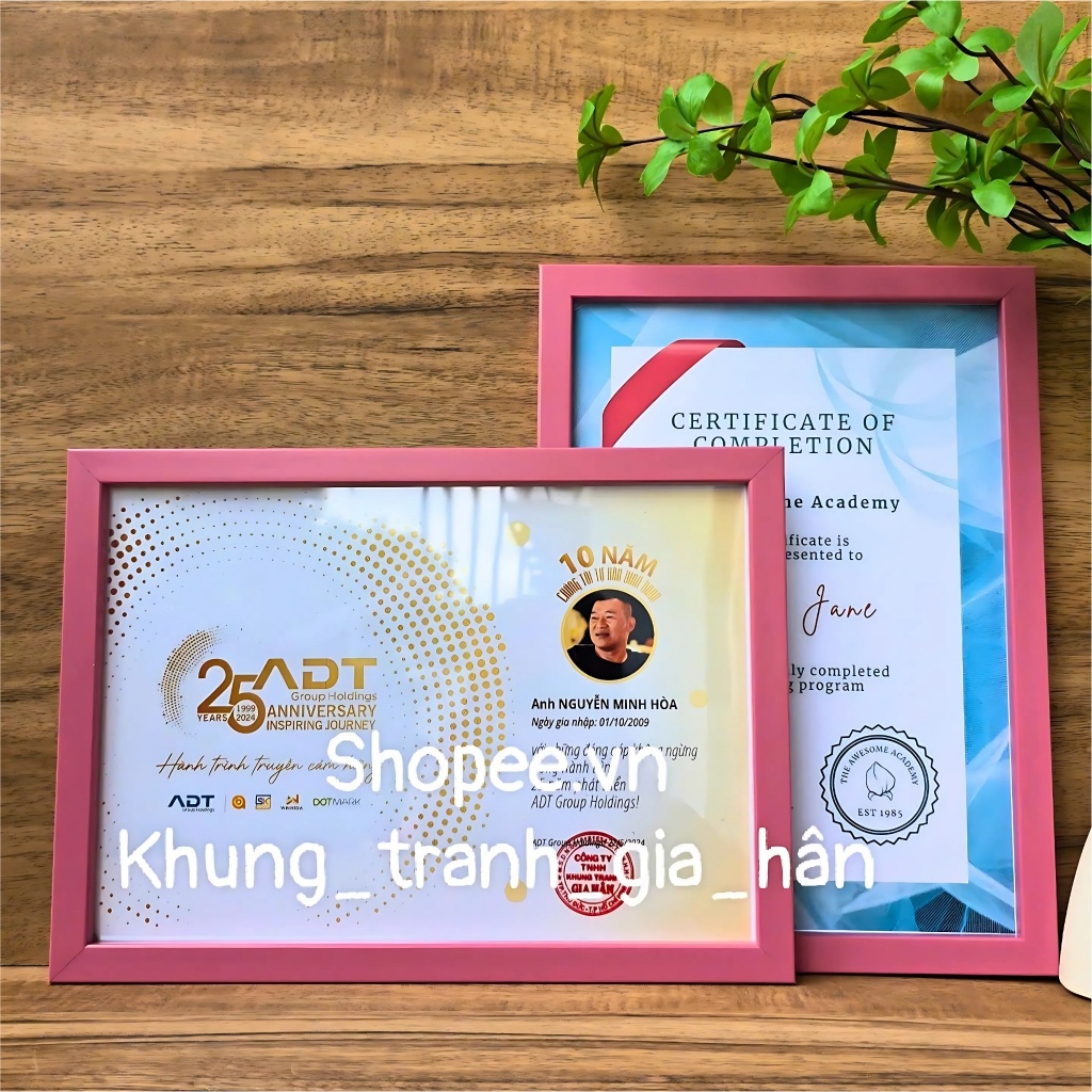 khung bằng khen, A4( 21X30 ), 20X30, khung ảnh, khung hình