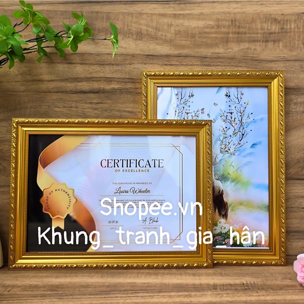 khung bằng khen, A4(21X30), 20X30, khung ảnh, khung hình