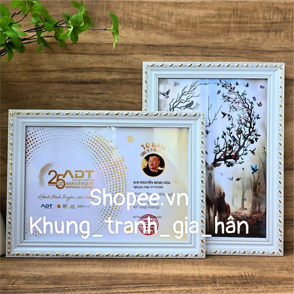 khung bằng khen, A4(21X30), 20X30, khung ảnh, khung hình