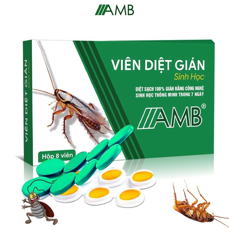 Thuốc diệt gián sinh học AMB, Viện Hàn lâm khoa học Việt Nam, diệt tận gốc tất cả các loại gián, hiệu quả, an toàn.