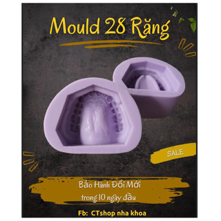 MOULD 28 Răng|MOULD 32R-MOULD răng đổ mẫu hàm thạch cao 1 cặp 28, 32 răng│Mould đổ răng khô thực tập│Đổ thạch cao đẹp