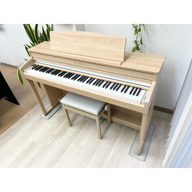 Đàn Piano Điện Kawai CA48