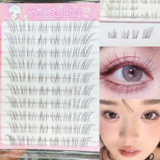  Hộp Lông Mi Tơ Dáng Cáo Bay Tự Nối Tự Nhiên 