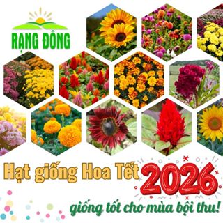Hạt giống Hoa VỤ TẾT 2026 (CÓ KÈM LỊCH) Hoa trồng chậu, thảm, sân vườn, nhiều màu, nhiều loại - Hạt giống Rạng Đông