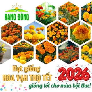  Hạt giống Hoa Vạn Thọ TẾT 2026 nhiều màu nhiều loại trồng chậu hoặc vườn quanh năm - Hạt giống Rạng Đông 