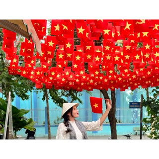 Cờ dây sao, cờ dây tổ quốc, chất liệu vải phi bóng (ducphong)