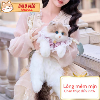  Balo Mèo Ragdoll Siêu dễ thương quà tặng sinh nhật cho bé gái túi mèo cho bé đi học balo hình con mèo - quà tặng noel ba 