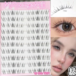 Hộp Lông Mi Mắt Xếch Fox Eye Tự Dính Mẫu Mới T201