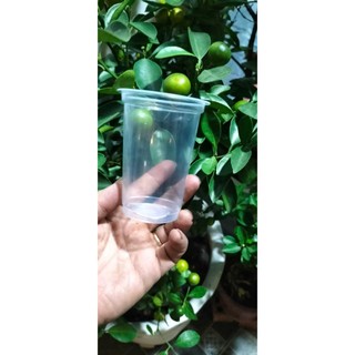 ly nhựa trơn pp  250 ml (1 cây 50 cái)