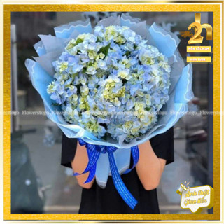   Hỏa Tốc HCM  Bó Hoa Cẩm Tú Cầu Tươi - Hoa Tươi Quà Tặng HCM 