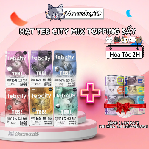 (Hỏa Tốc Đến 19H) Hạt Teb City dành cho mèo mọi lứa tuổi, Topping Thịt Viên, Đạm Cao, Không Độn Ngũ Cốc