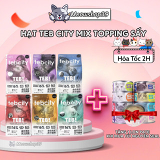 (Hỏa Tốc Đến 19H) Hạt Teb City dành cho mèo mọi lứa tuổi, Topping Thịt Viên, Đạm Cao, Không Độn Ngũ Cốc