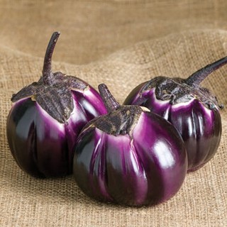 Hạt giống Cà Bát Tím Khía_Cà Ghém Múi Tím Đen nhập Thái Lan nguyên gói ~100 hạt (Purple Big Eggplant)