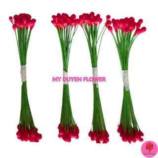 NHỤY KẼM LÀM HOA 4 bó