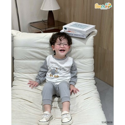 Set bộ thun dài tay raglan Beemo in hình voi vải thun co giãn cho bé trai từ 9-24kg 5342BDB