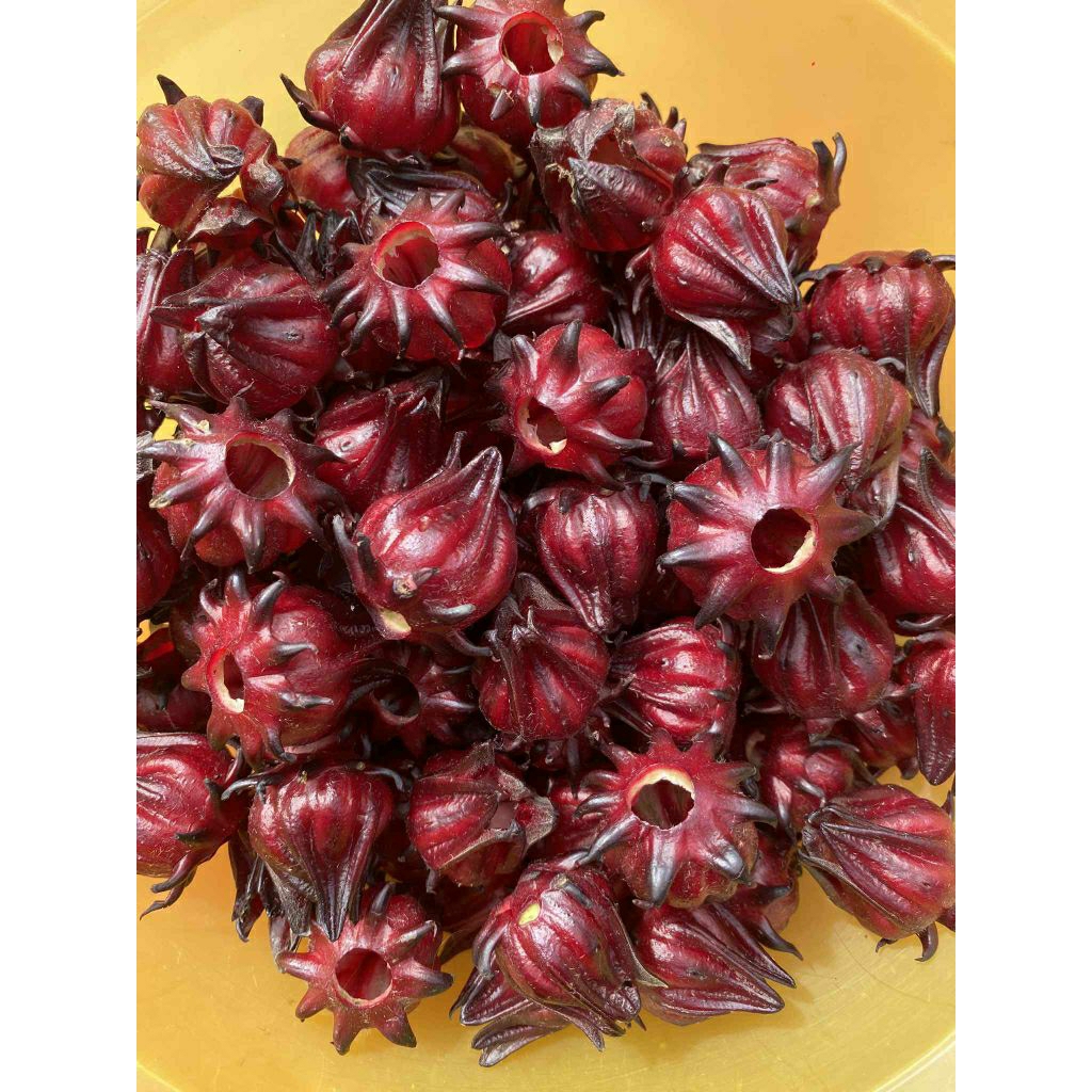 2kg hoa atiso đỏ tươi (đã tách hạt)- Hoa Hibiscus