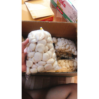 Bánh Bao Sữa Tuổi Thơ