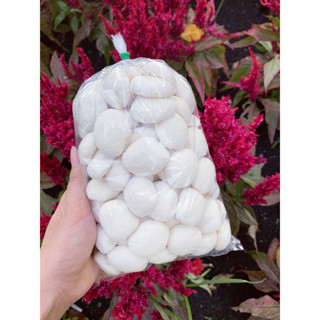 Bánh bao sữa tuổi thơ 1 bịch gồm 65 cái bánh mini có video