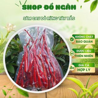 Sâm Cau Đỏ Rừng Tây Bắc 1kg, Đặc Sản Tự Nhiên, Rửa Sạch Hút Chân Không, Nguyên Củ