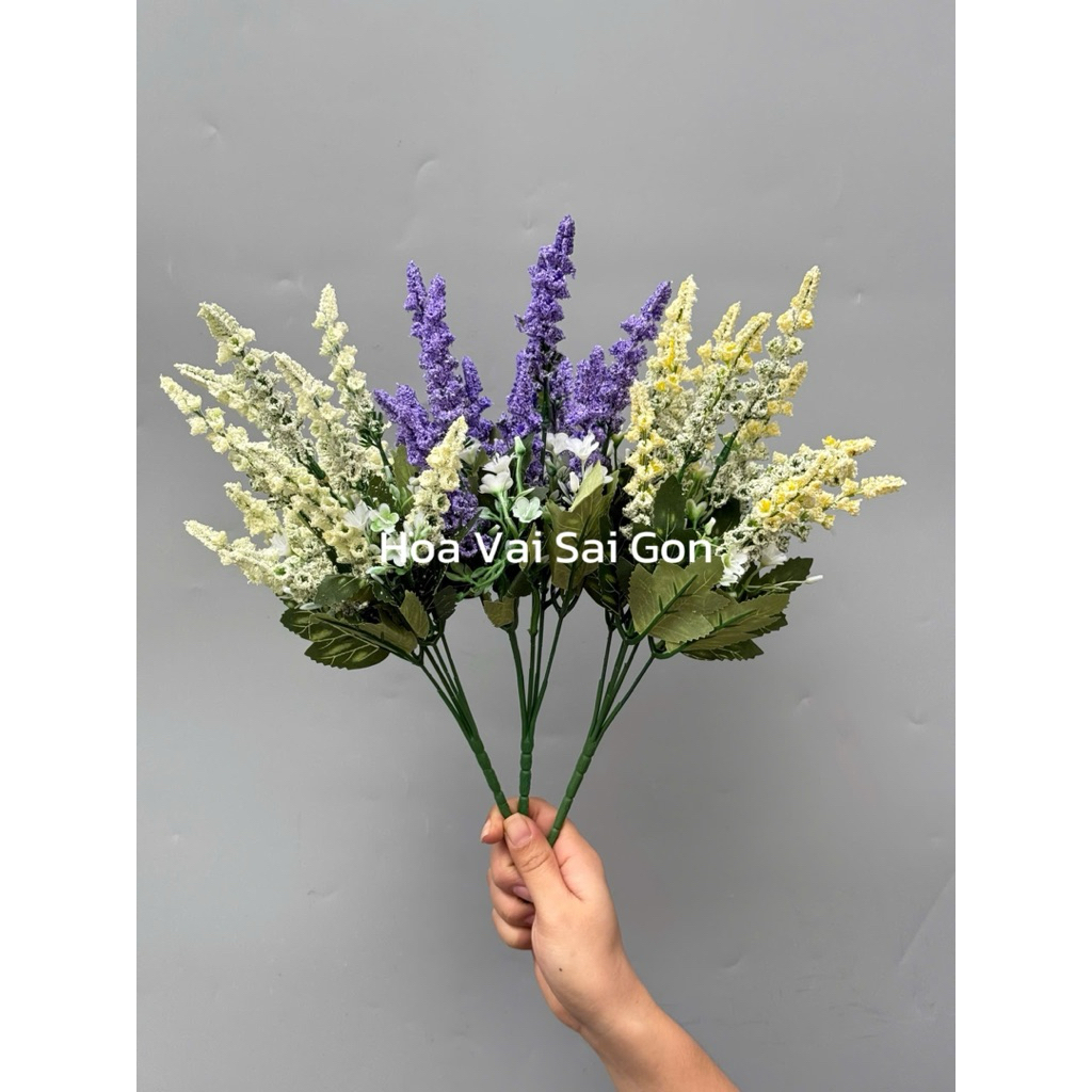 [ Hoa Thạch Thảo] Bụi chồn thạch thảo