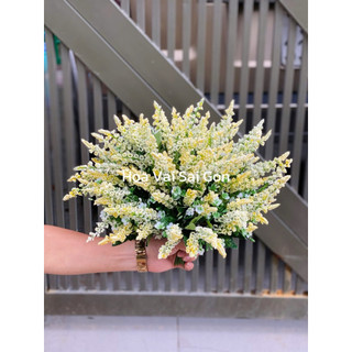 [ Hoa Thạch Thảo] Bụi chồn thạch thảo