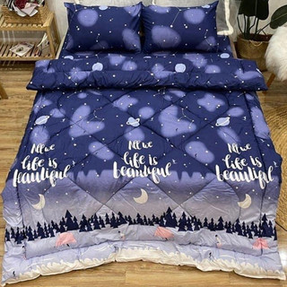  Bộ 5 Món chăn phao Boss Decor cotton poly đủ mẫu 
