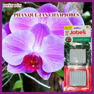  PHÂN BÓN QUE   PHÂN CON SÂU  JOBES DÀNH CHO HOA LAN CÂY CẢNH  VỈ 50 QUE   