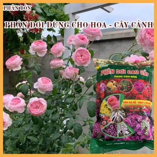  Phân Dơi Cao Cấp Dạng Viên Nén 700g - Chuyên Dùng Cho Hoa Lan Hoa Hồng Cây Kiểng 
