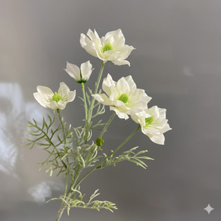 Hoa lụa Nigella 5 bông (1 cành) - HOG00029