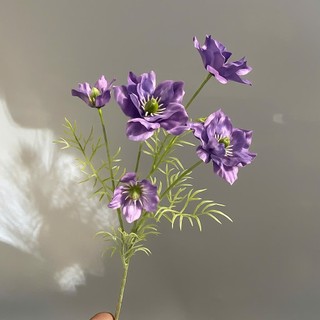 Hoa lụa Nigella 5 bông (1 cành) - HOG00029
