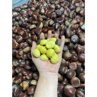 Hạt dẻ tươi sapa 1kg