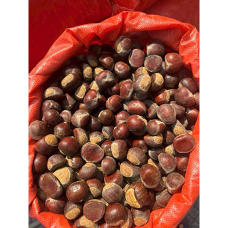 Hạt dẻ tươi sapa 1kg