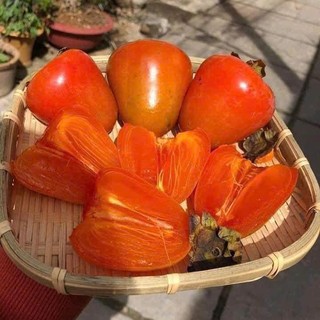  Hồng Chín Mềm Đà Lạt- Foodmap Fruits 