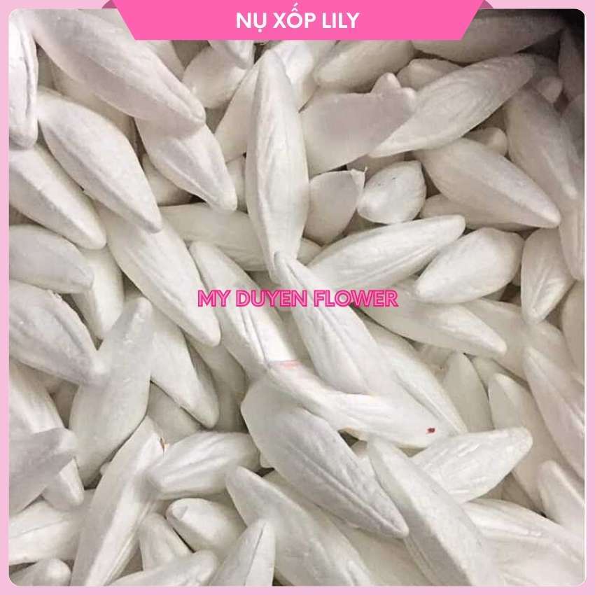 NỤ XỐP HOA LY. NỤ HOA LILY