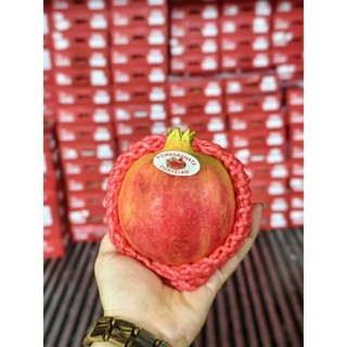[ JENNY FRUIT ] [ HỎA TỐC ] Lựu thái mới về