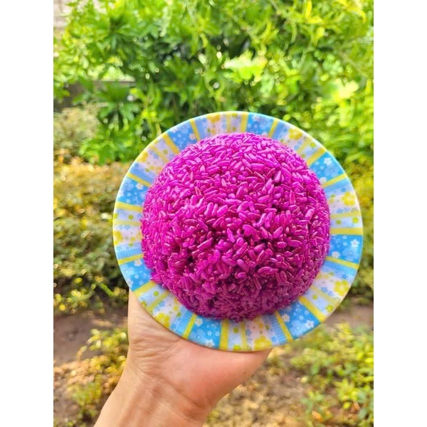 [Hàng Đẹp] 10 Phôi Giống Cẩm Đỏ & Cẩm Tím + Lá Khô Thổi Xôi Ngũ Sắc - Nguyên Liệu Sạch
