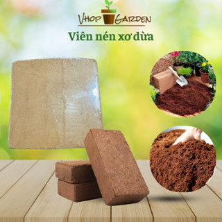  5 Viên nén sơ dừa đất sơ dừa cục nén viên dùng trồng rau sạch rau mầm trộn đất trồng cây 