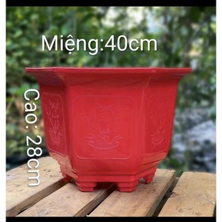  Combo 5 Chậu nhựa lục giác LG400 kt miệng 40cm x cao 28cm đủ màu hàng dày đẹp,siêu xinh 