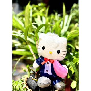 Gấu bông kitty chú rễ
